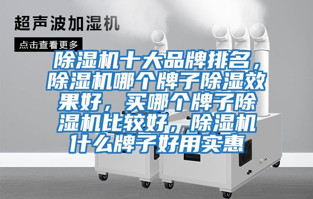 除濕機十大品牌排名，除濕機哪個牌子除濕效果好，買哪個牌子除濕機比較好，除濕機什么牌子好用實惠