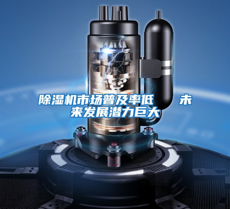 除濕機(jī)市場(chǎng)普及率低   未來(lái)發(fā)展?jié)摿薮?></div>
								<div   id=