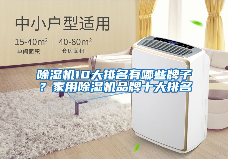 除濕機10大排名有哪些牌子?家用除濕機品牌十大排名