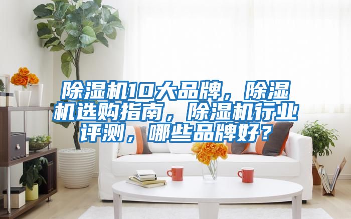 除濕機10大品牌,除濕機選購指南,除濕機行業評測,哪些品牌好?