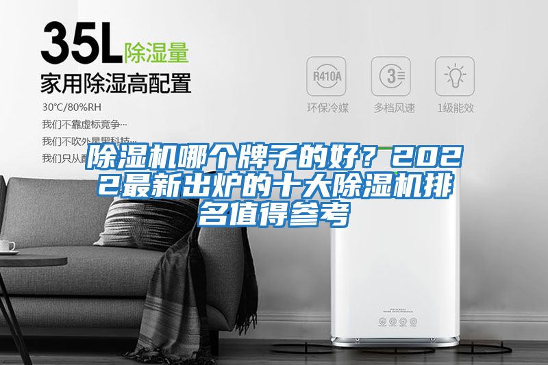 除濕機哪個牌子的好？2022最新出爐的十大除濕機排名值得參考