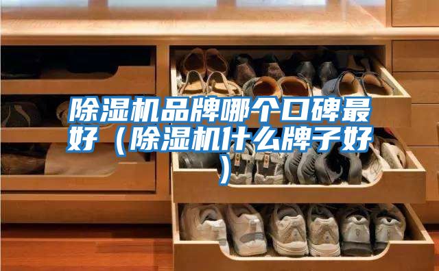 除濕機品牌哪個口碑最好(除濕機什么牌子好)