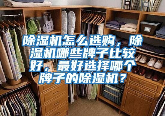 除濕機怎么選購，除濕機哪些牌子比較好，最好選擇哪個牌子的除濕機？