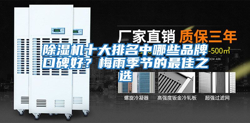 除濕機十大排名中哪些品牌口碑好?梅雨季節的最佳之選
