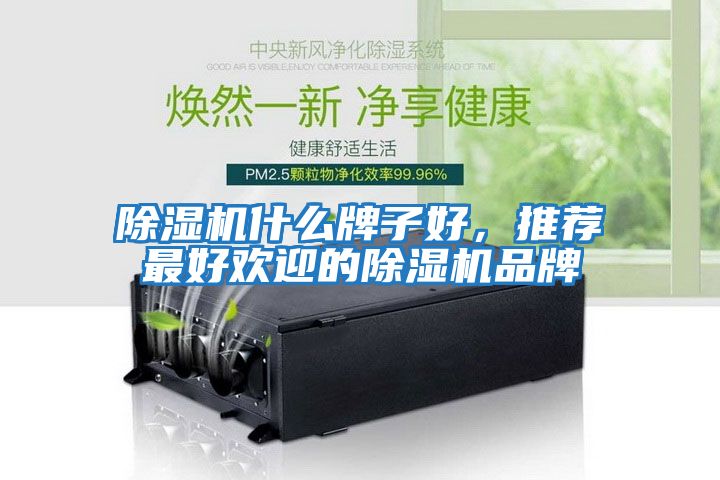 除濕機什么牌子好,推薦最好歡迎的除濕機品牌
