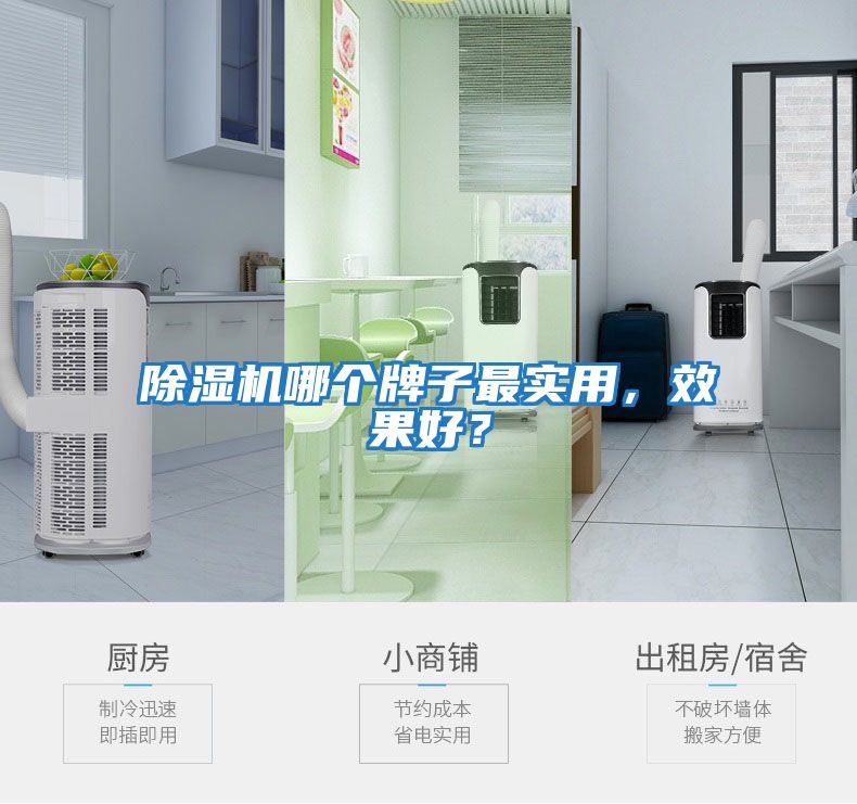 除濕機(jī)哪個牌子最實(shí)用，效果好？