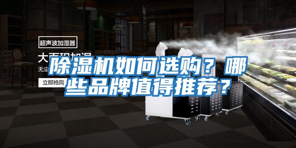 除濕機(jī)如何選購？哪些品牌值得推薦？