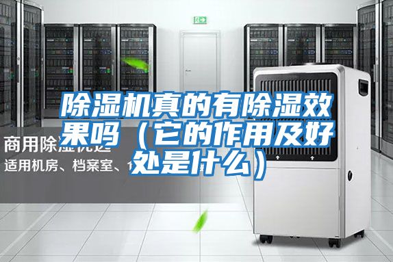 除濕機真的有除濕效果嗎(它的作用及好處是什么)