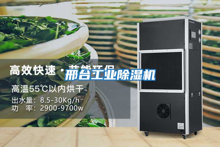 邢臺(tái)工業(yè)除濕機(jī)