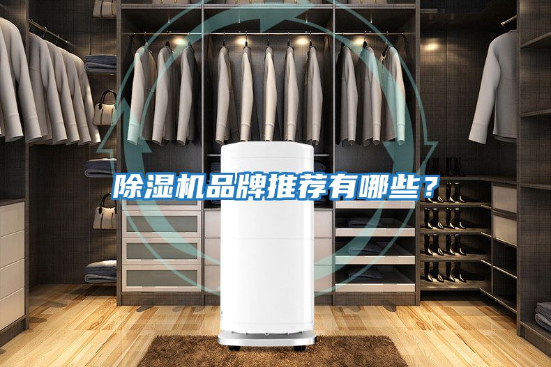 除濕機(jī)品牌推薦有哪些?