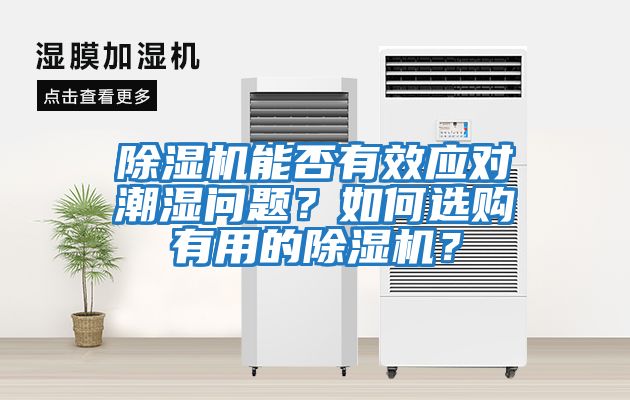 除濕機能否有效應對潮濕問題？如何選購有用的除濕機？