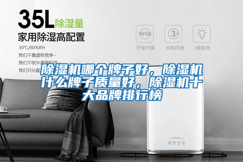 除濕機哪個牌子好，除濕機什么牌子質量好，除濕機十大品牌排行榜