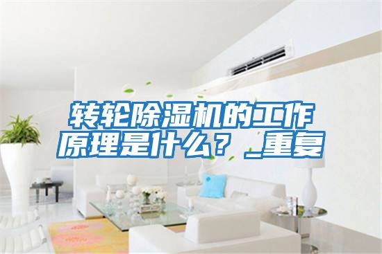 轉輪除濕機的工作原理是什么?_重復