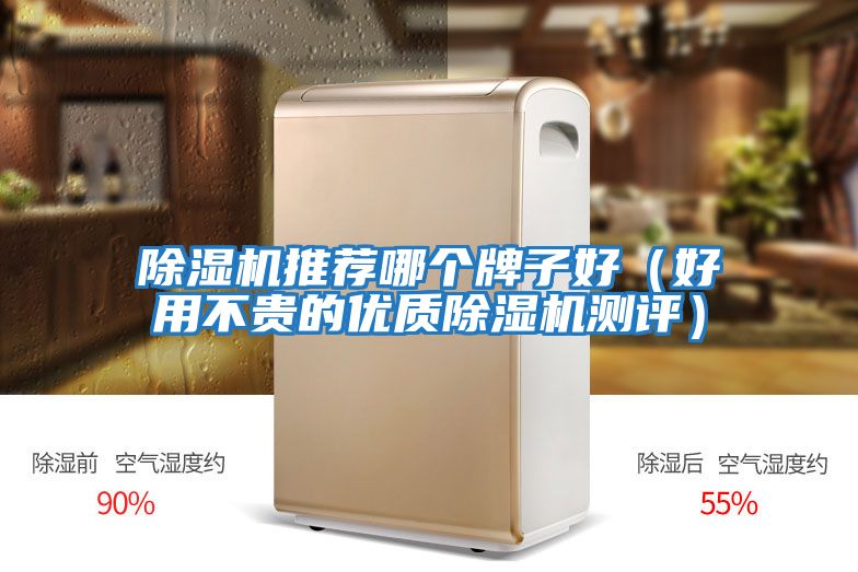 除濕機推薦哪個牌子好（好用不貴的優質除濕機測評）