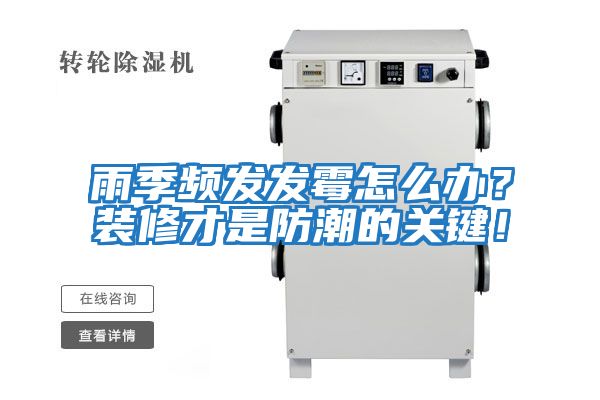 雨季頻發發霉怎么辦？裝修才是防潮的關鍵！