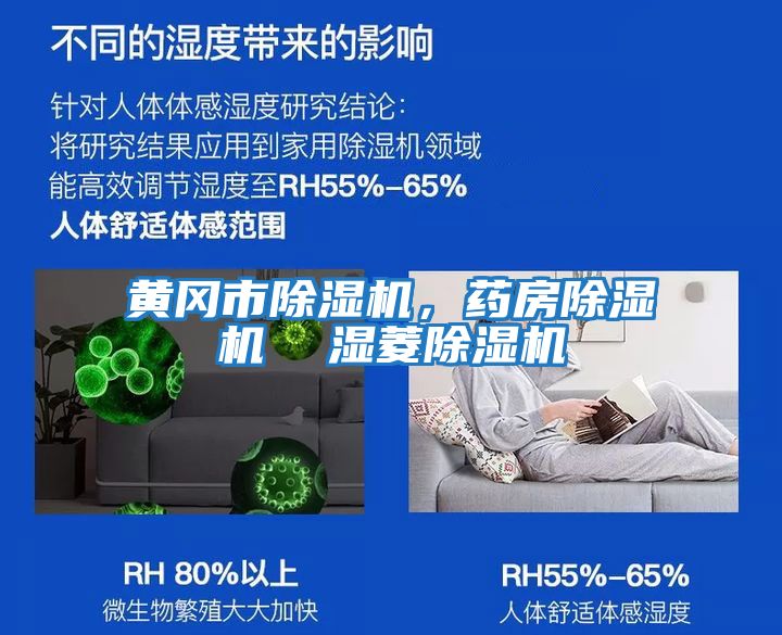 黃岡市除濕機,藥房除濕機  濕菱除濕機