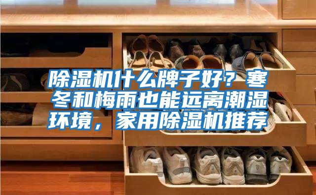 除濕機(jī)什么牌子好？寒冬和梅雨也能遠(yuǎn)離潮濕環(huán)境，家用除濕機(jī)推薦