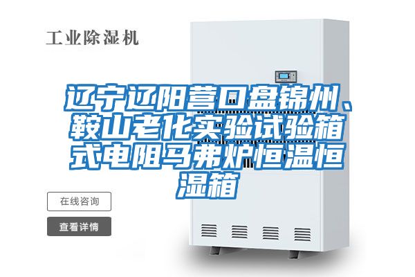 遼寧遼陽營口盤錦州、鞍山老化實驗試驗箱式電阻馬弗爐恒溫恒濕箱