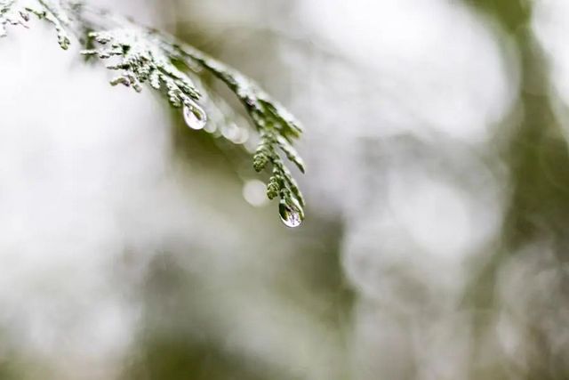 空氣濕度大帶來的危害有哪些，你知道嗎？